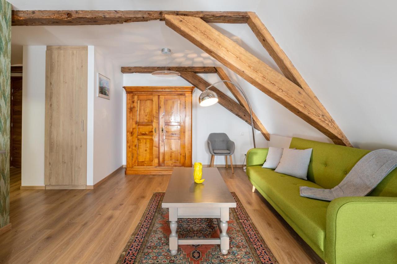 Le Rhenanus Jacques Spiegel - Ideal Pour Un Couple - Appartement Au Calme - Parking Gratuit Sélestat Exterior photo