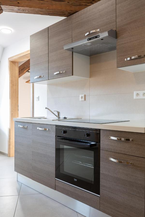 Le Rhenanus Jacques Spiegel - Ideal Pour Un Couple - Appartement Au Calme - Parking Gratuit Sélestat Exterior photo